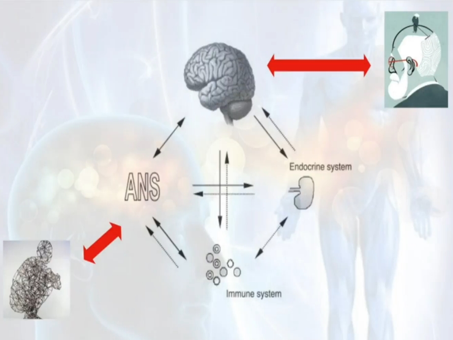 PNEI e osteopatia: lo stesso paradigma nell’impostazione di una terapia integrata