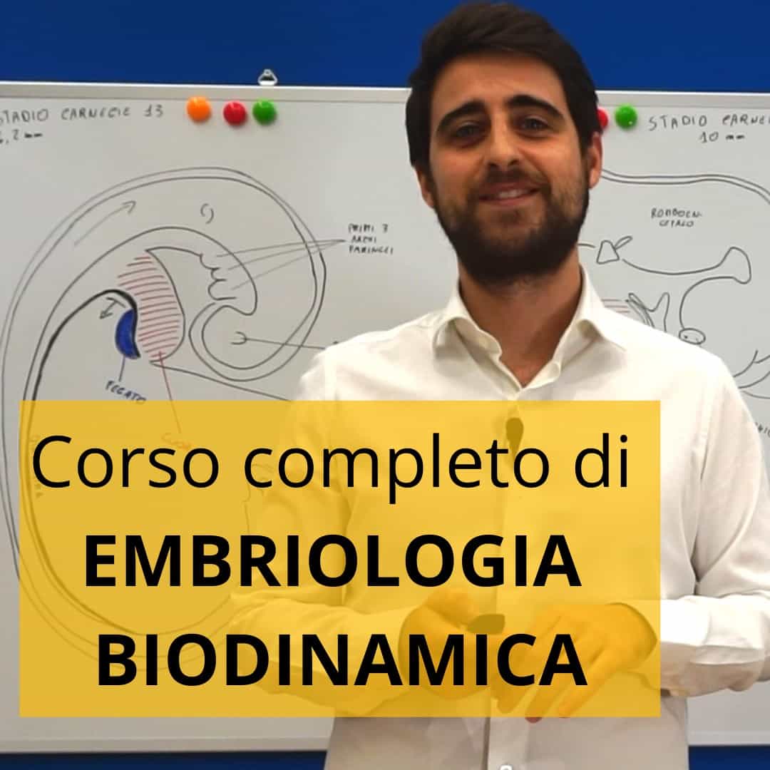 Embriologia biodinamica di Blechschmidt – Corso on-demand