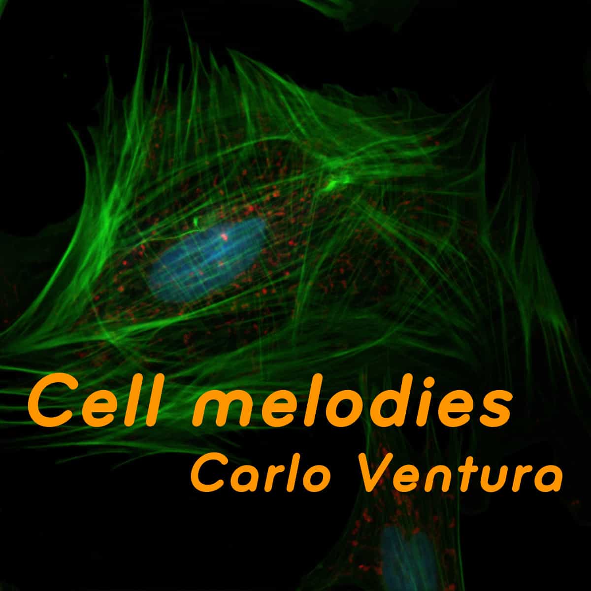 Cell melodies – Corso on-demand