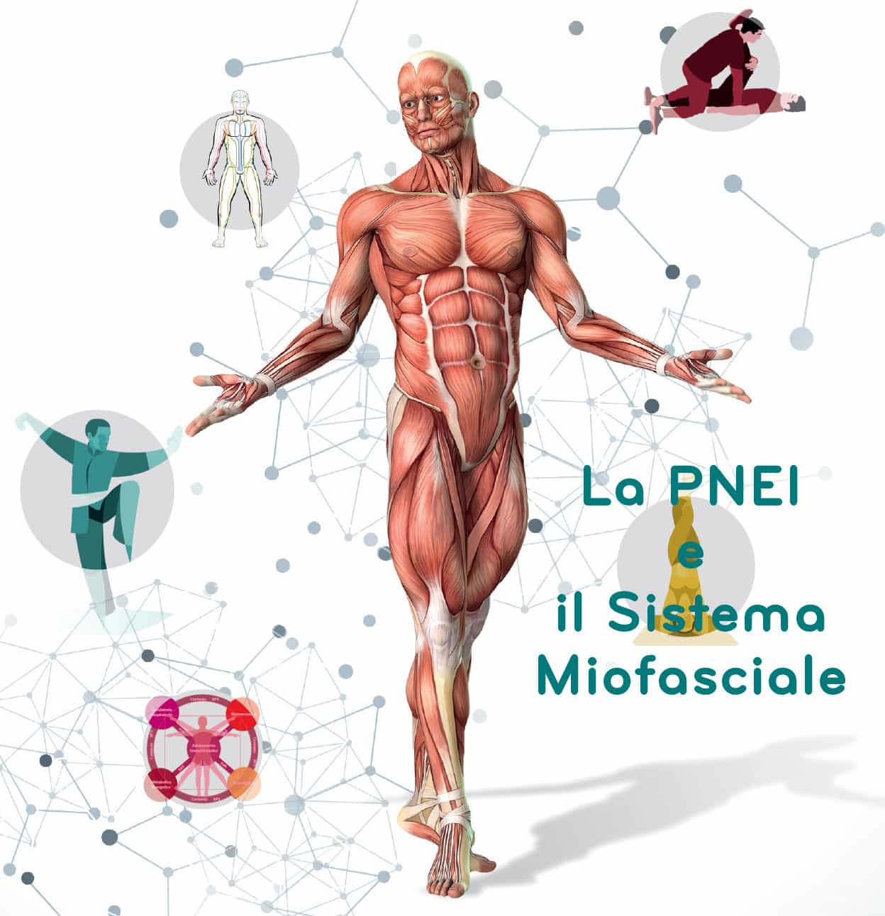 La PNEI e il Sistema Miofasciale – Corso on-demand