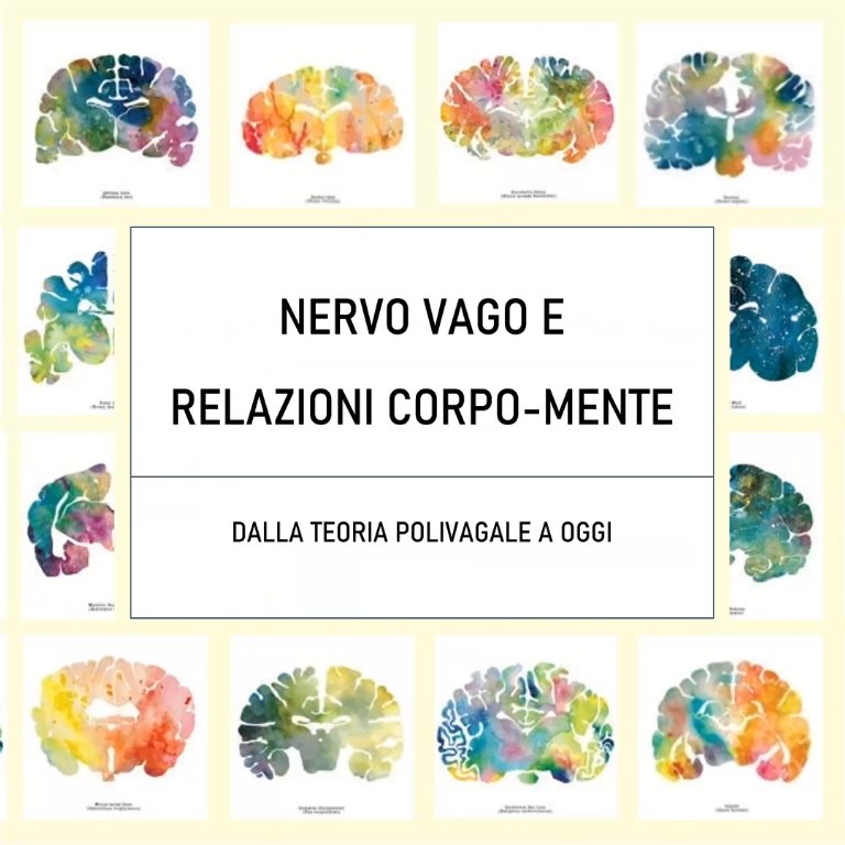 Nervo vago e relazioni corpo-mente: Dalla Teoria Polivagale a oggi – Corso on-demand