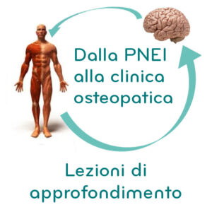 lezioni dalla pnei alla clinica osteopatica gestione del paziente cronico nicola barsotti diego lanaro marco chiera andrea corti alessandro casini giandomenico d'alessandro lorenzo giomi