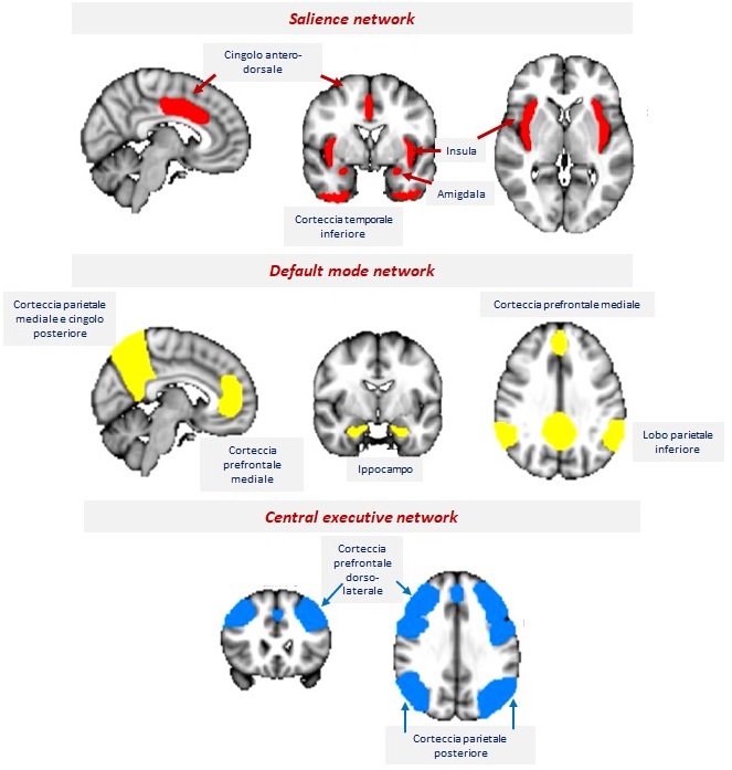 Alla riscoperta dello stress grazie alla neurobiologia
