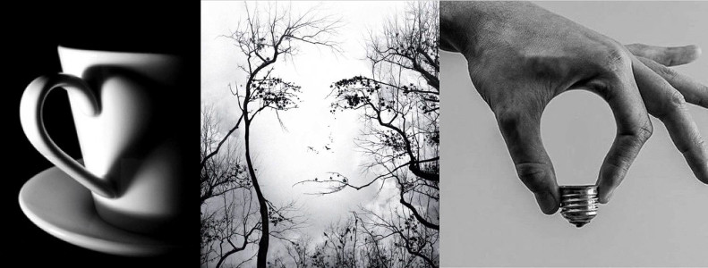 La PNEI e la Psicoterapia della Gestalt come paradigmi complessi