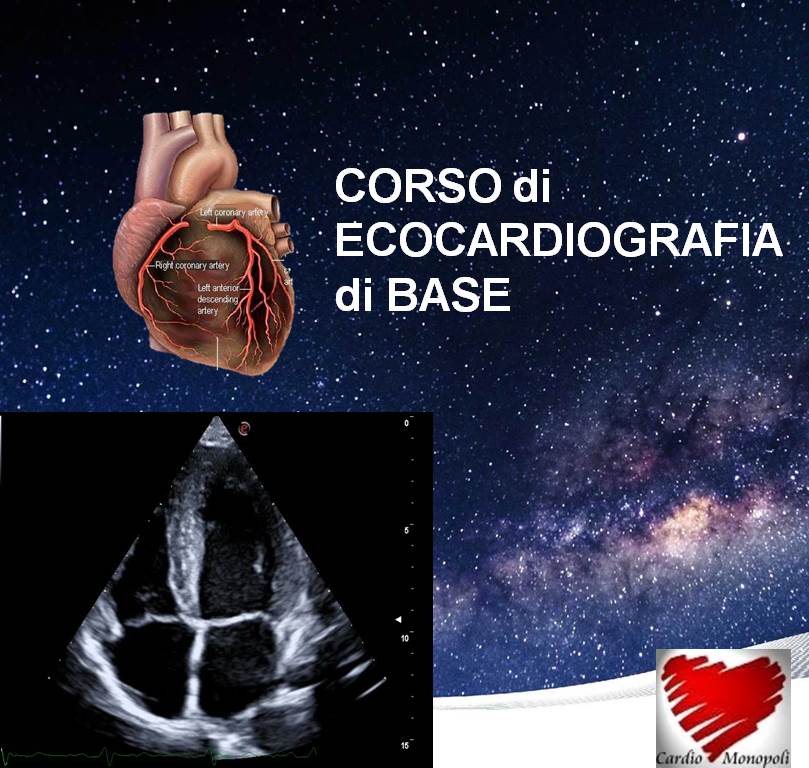 Corso di Ecocardiografia di Base per tutti i sanitari – Corso on-demand