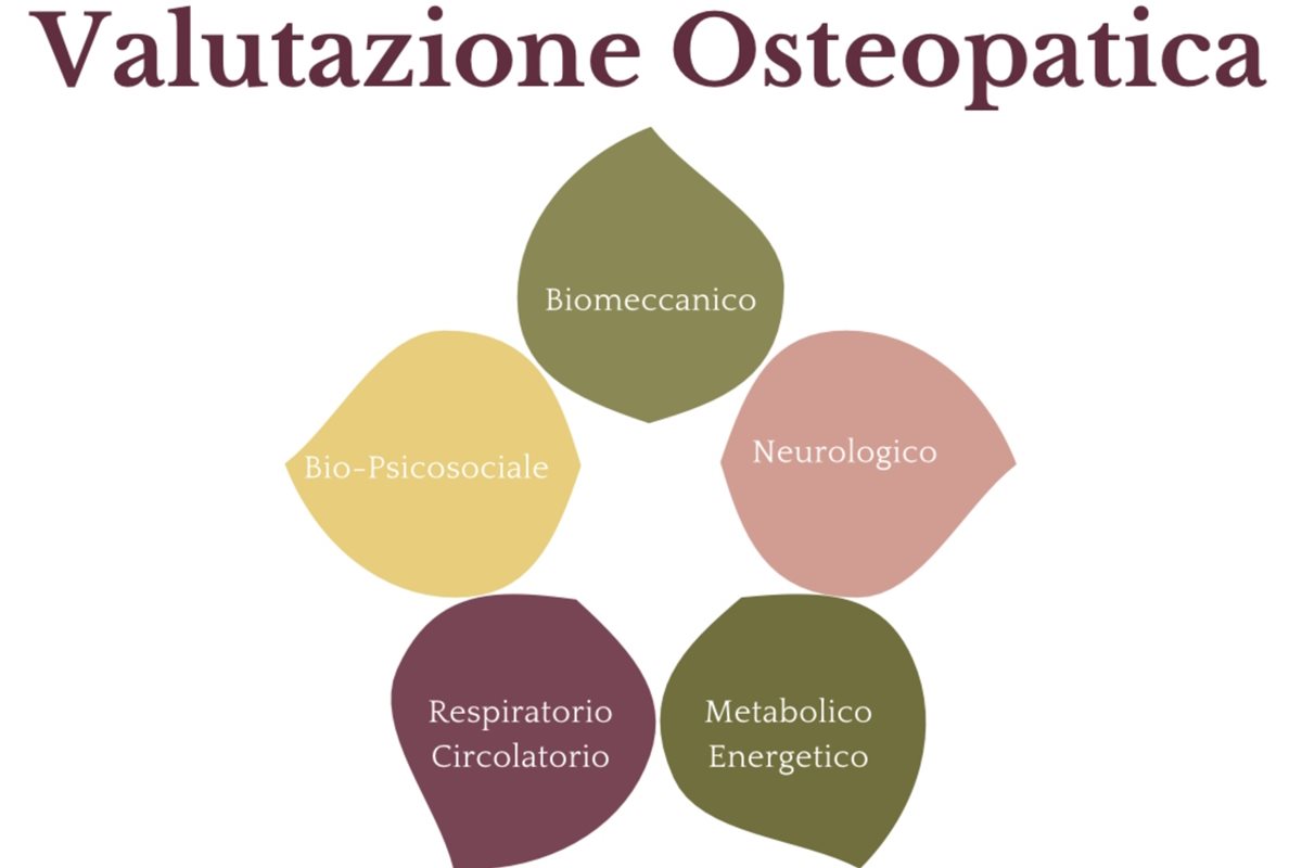 La biotipologia nella valutazione osteopatica: pregi e limiti