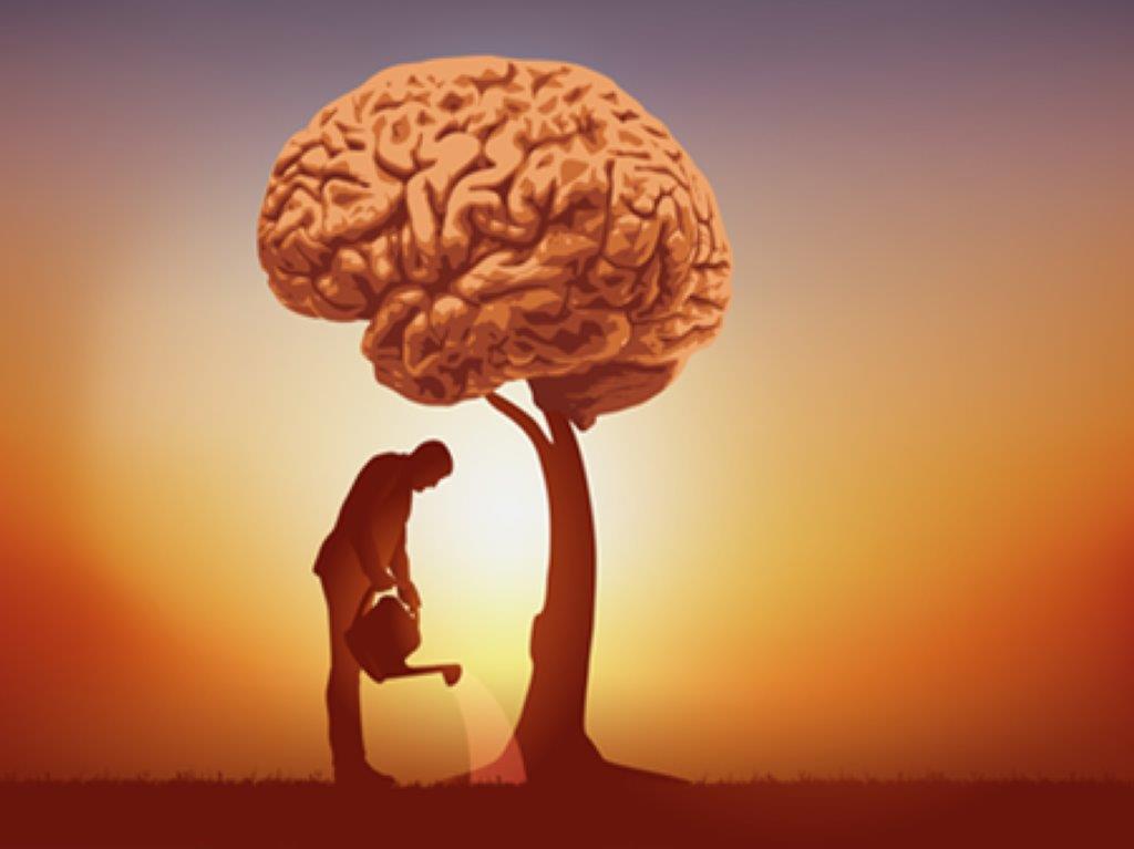 Il Corpo che Pensa: Come il Movimento Modella la Mente dall’Inizio della Vita