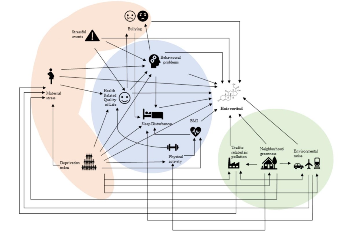 Stress, cortisolo e capelli: un nuovo metodo per indagare la salute nei bambini
